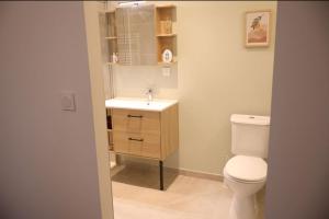 ein Badezimmer mit einer weißen Toilette und einem Waschbecken in der Unterkunft Cosy appartement proche saint emilion in Le Fieu
