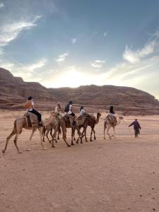 um grupo de pessoas andando a cavalo no deserto em Malak rum camp em Wadi Rum