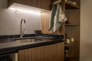 a kitchen with a sink and a counter top at Apart Hotel Dresden in Santiago +109 photos