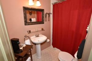 ein Badezimmer mit einem Waschbecken und einem roten Duschvorhang in der Unterkunft Angeline's Room in Jonesborough