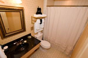 ein Badezimmer mit Waschbecken, Toilette und Dusche in der Unterkunft The Tub Room in Jonesborough