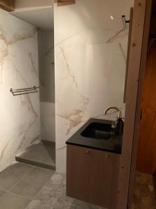 ein Badezimmer mit einem Waschbecken und einer Marmorwand in der Unterkunft Onder de Oude Walnoot in Sint Pancras