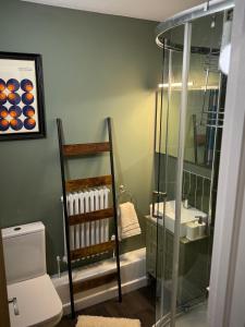 a bathroom with a shower and a sink and a toilet at Cute & Funky One Bed, Salisbury, UK in Old Sarum