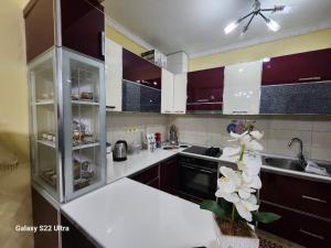 eine Küche mit Spüle und Arbeitsplatte in der Unterkunft Cozy Home in Tirana + 9 Fotos