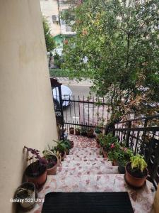 einen Balkon mit einem Haufen Topfpflanzen in der Unterkunft Cozy Home in Tirana