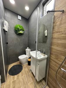 een badkamer met een toilet, een wastafel en een douche bij Georgia Suites in Lyubimets +33 foto's