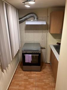 een kleine keuken met een fornuis en een spoelbak bij Central Home Apartment in Craiova