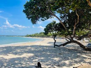 Imagen de la galería de Marien Residences 221 Garden & Partial Ocean View Condo, en Puerto Plata