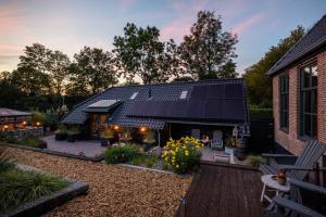 Κήπος έξω από το 4 op Dokkum