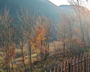 a fence in the middle of a field with trees at Boga Chalet in Bogë