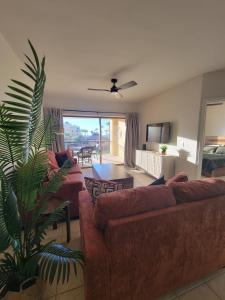 ein Wohnzimmer mit 2 Sofas und einer Palme in der Unterkunft Condo Heated Pool 2 Bed 2 Bath on Sandy Beach at Princesa in Puerto Peñasco