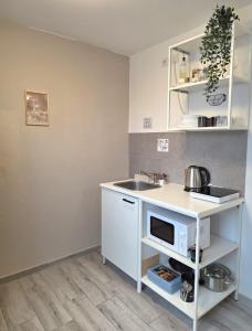 Η κουζίνα ή μικρή κουζίνα στο Prime Apartment Hotel