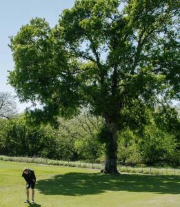 Hosté ubytování Burnham's Lodging