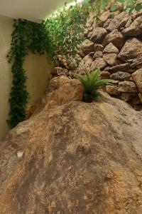 Φωτογραφία από το άλμπουμ του Xaneira σε Finisterre