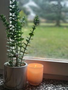 Κήπος έξω από το Panorama Widok +14 φωτογραφίες