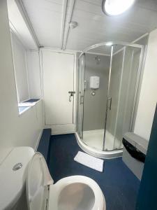 a bathroom with a shower and a toilet at Number 75 in Brighton & Hove +18 photos