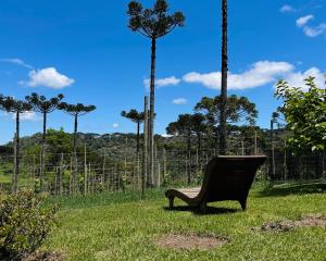 een bankje in het gras bij een paar palmbomen bij Chalé Bienz - Hospedagem Rural in Urubici