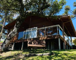 een boomhut met een groot glazen raam bij Chalé Bienz - Hospedagem Rural in Urubici