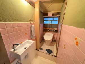 a small bathroom with a sink and a toilet at Guesthouse すえ in Mashizume +13 photos