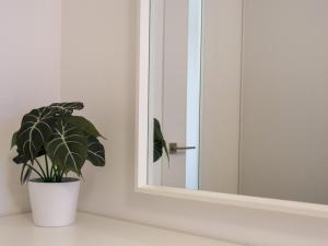 a plant sitting on a counter next to a mirror at OUCHI HOTEL Hiroshima Station in Hiroshima