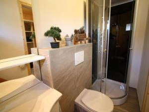 ein Badezimmer mit Dusche, Toilette und Waschbecken in der Unterkunft Das Edelweiss in Hohentauern