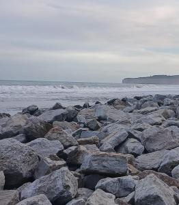 eine große Gruppe von Felsen am Strand in der Unterkunft Corazón de viajero in Mar del Plata + 7 Fotos