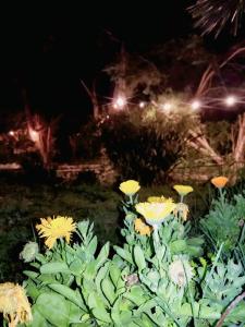 Fotografie z fotogalerie ubytování Campo Los Teritos v destinaci Abasto