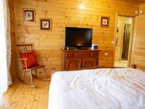 a bedroom with a bed and a tv and a chair at Four bedroom villa in Vukovar