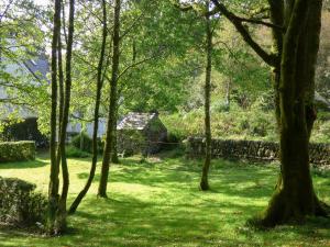Zahrada ubytování Little Boreland