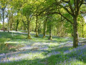Příroda nedaleko prázdninového domu + 16 fotografií