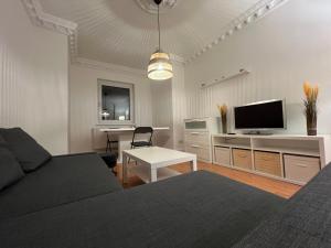 BremerhavenLuxus Apartment im Goetheviertel mit Badewanne, Regendusche WLAN uvm的客厅里有一张沙发和一台电视