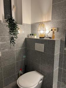 BremerhavenLuxus Apartment im Goetheviertel mit Badewanne, Regendusche WLAN uvm的一间带卫生间的浴室和墙上的灯