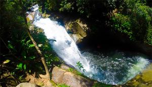 a stream of water in a river with trees at Sana Suítes in Macaé