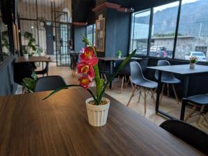 Общий вид на горы или вид на горы из отеля