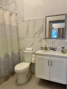 ein Badezimmer mit Toilette, Waschbecken und Spiegel in der Unterkunft Abigail's Sunlit Nook in Tortola Island + 12 Fotos