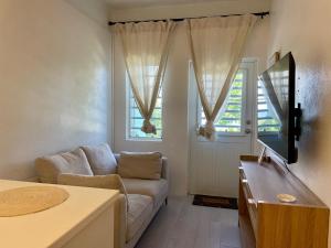 ein Wohnzimmer mit Sofa und Fernseher in der Unterkunft Abigail's Sunlit Nook in Tortola Island