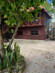 a large wooden building with a tree in front of it at Cabañas Bacali in Bacalar