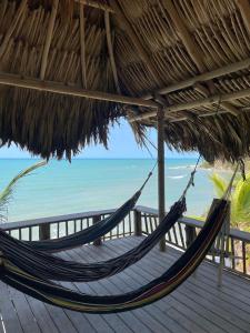 Příroda nedaleko prázdninového domu + 13 fotografií