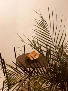 Φυσικό τοπίο κοντά σε αυτή η παραθεριστική κατοικία +5 φωτογραφίες