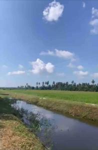 une rivière au milieu d'un champ dans l'établissement Hijrah De La Villa Parit Buntar Nibong Tebal Penang, à Nibung Tebal