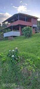 Zahrada ubytování cabaña Carol