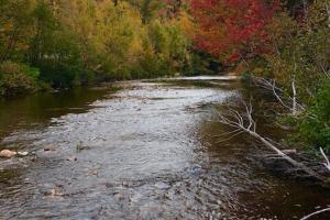 a river with trees on the side of it at Quiet, Convenient Studio Andover Merrimack Valley - Long Stays Only in Andover +3 photos