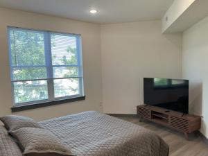 Μια τηλεόραση ή/και κέντρο ψυχαγωγίας στο James River Apt - 208 - Tourist Homes of Richmond