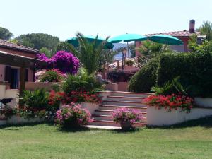 a set of stairs with flowers in front of a house at Belvedere Residenza Mediterranea in Portoferraio