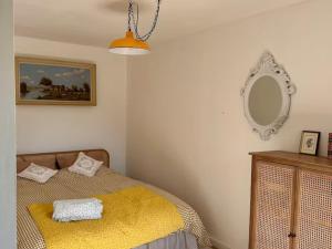 a bedroom with a bed and a mirror on the wall at Gîte de charme calme au cœur du Perche, proche Le Mans - FR-1-410-478 in Courgains
