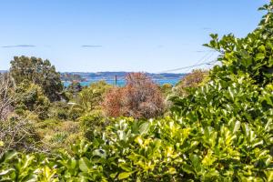 Waiheke IslandCasa Sol - Central Oneroa Retreat的透过树林欣赏海景