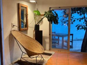 ein Korbstuhl neben einer Tür mit einer Pflanze in der Unterkunft Botanique Concept House Guanajuato Centro in Guanajuato