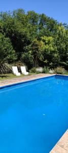 ein blauer Swimmingpool mit zwei Liegestühlen und Bäumen in der Unterkunft Mangoré Cabaña 2 in La Granja