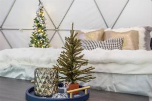 Foto sihtkohas Eagle Rock asuva majutusasutuse Campfire Hollow galeriist