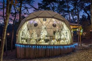 Eagle RockCampfire Hollow的一个装在圆顶里的圣诞鬣蜥，周围环绕着圣诞彩灯